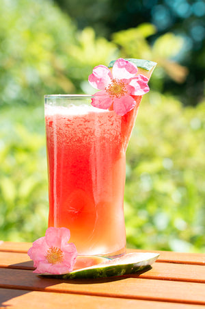 Watermelon and Wild Rose Frozen Mocktail